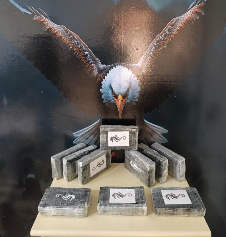 Mulher é Detida com 11 kg de Cocaína no Terminal Rodoviário de Petrolina