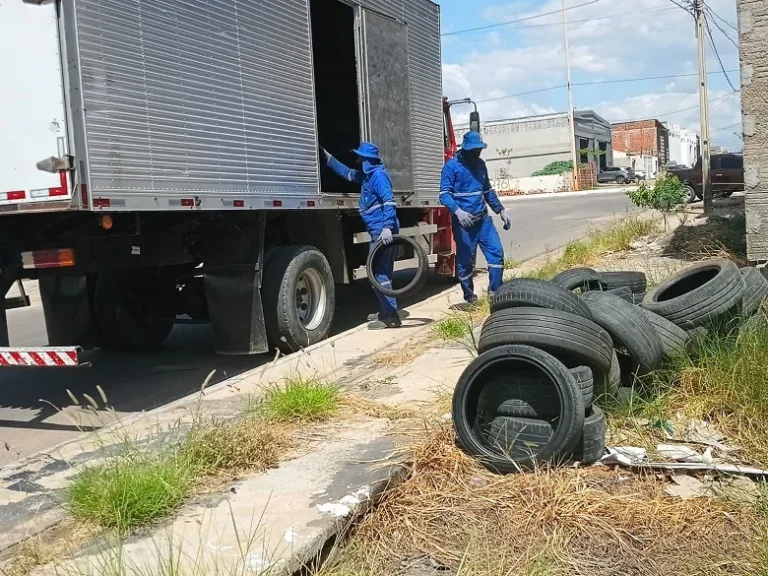 Petrolina Reúne 13 Mil Pneus para Combater Aedes aegypti em 2025 Petrolina Reúne 13 Mil Pneus para Combater Aedes aegypti em 2025