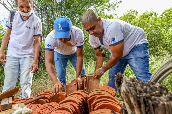 Atenção: Aumento de Animais Peçonhentos em Petrolina Durante as Altas Temperaturas Atenção: Aumento de Animais Peçonhentos em Petrolina Durante as Altas Temperaturas