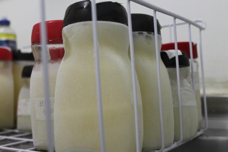 Baixo Estoque de Leite no Biama de Petrolina: Saiba Como Contribuir