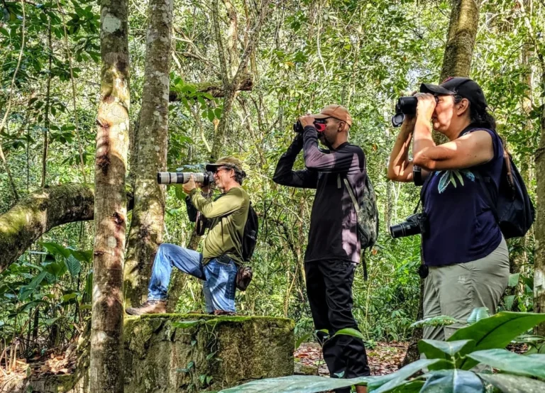 Pernambuco Avança no Turismo de Observação de Aves com Novo Edital Estadual