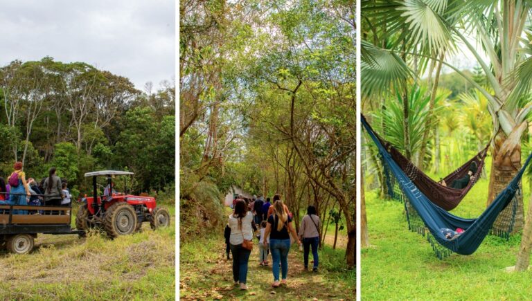 SP Produz: A Conexão entre Sustentabilidade e Cultura na Capital Paulista