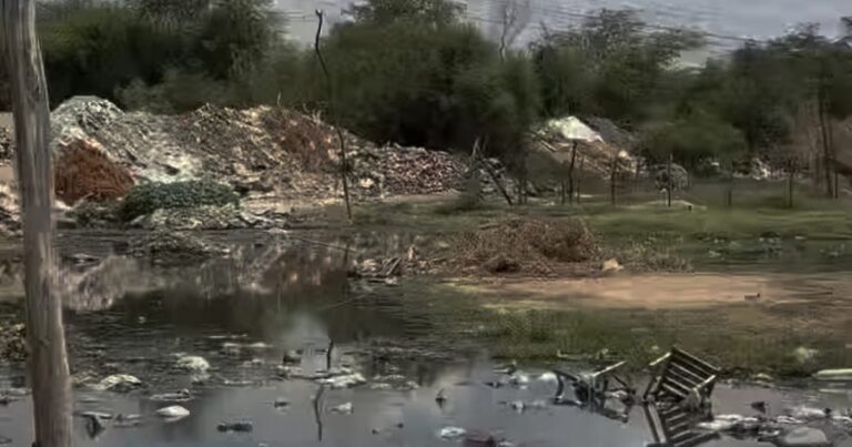 Vereador de Petrolina Denuncia Esgoto a Céu Aberto em Bairro Crítico