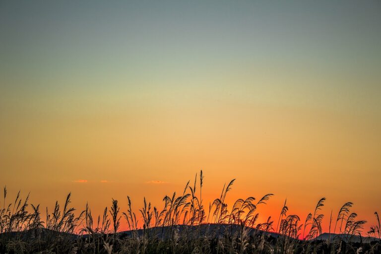 Alerta Amarelo do INMET: Risco de Incêndios e Baixa Umidade em Petrolina até Domingo