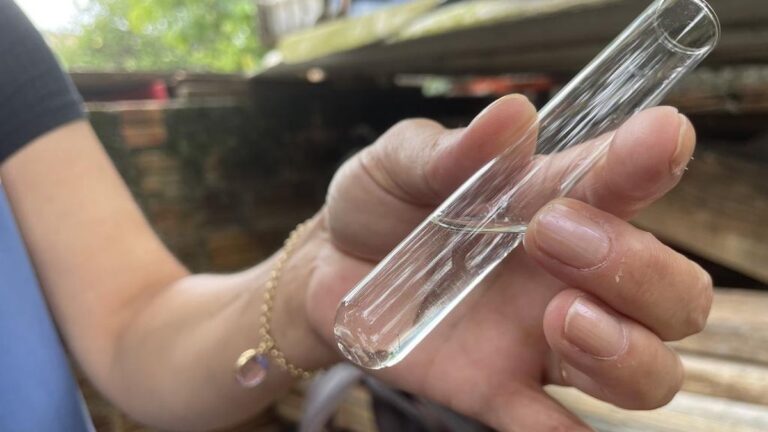 Aumento de Focos do Mosquito da Dengue em Rio Grande: O Que Você Precisa Saber