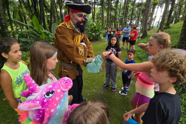 CarnaCultura em Ribeirão Pires: Um Dia de Alegria e Cultura Infantil CarnaCultura em Ribeirão Pires: Um Dia de Alegria e Cultura Infantil