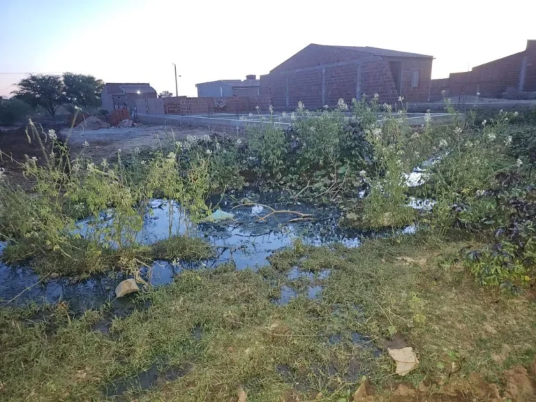 Comunidade de Floresta se Mobiliza por Limpeza e Saneamento da Rua Manoel Pedro Filho