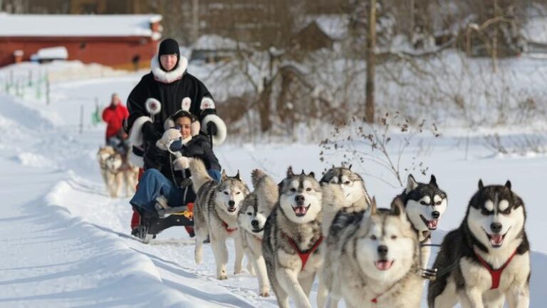 Crescimento do Turismo Árabe em Moscou: Laços com o Golfo em Alta