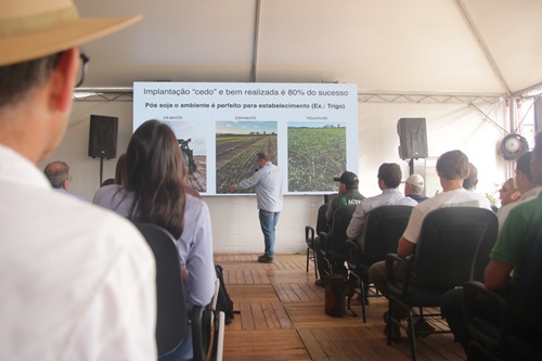 Cultivos de Cereais: Uma Alternativa Sustentável à Rotação com Arroz e Soja Cultivos de Cereais: Uma Alternativa Sustentável à Rotação com Arroz e Soja