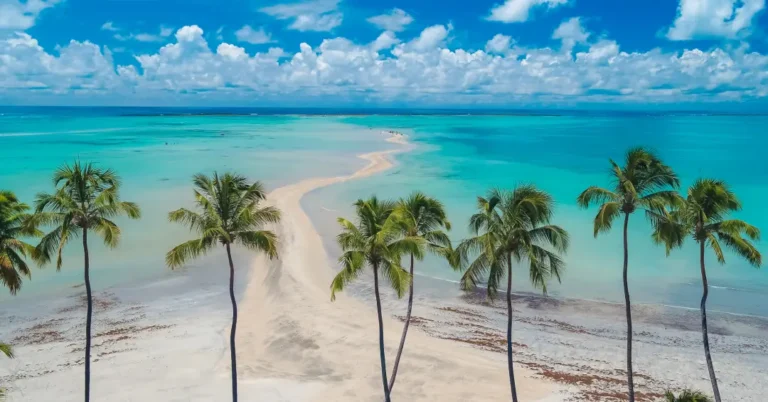 Descubra 7 Praias Imperdíveis em Maragogi para Visitar em 2024