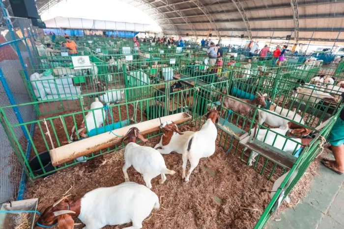 ExpoRajada 2024: Data Confirmada para 13ª Edição do Evento Junino em Petrolina ExpoRajada 2024: Data Confirmada para 13ª Edição do Evento Junino em Petrolina