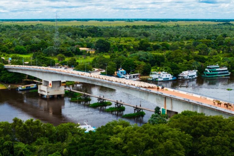 Fotógrafo Registra Comitiva Pantaneira em MS: A Cultura do Pantanal em Foco