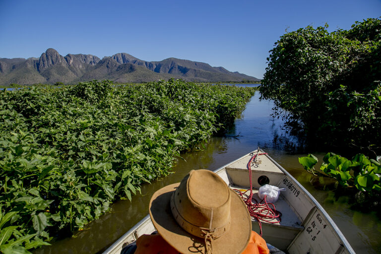 Corumbá Recebe 64ª Reunião Ordinária do Conselho Municipal de Turismo