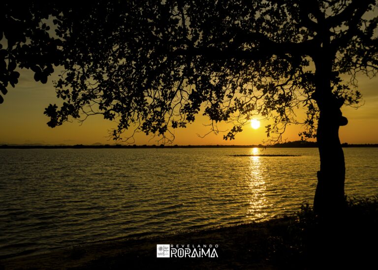 Descubra Roraima: Exposição Fotográfica Revela Paisagens e Cultura do Estado