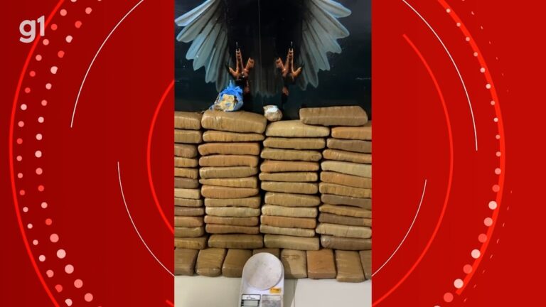 Duas Mulheres Presas com 43 kg de Maconha em Petrolina: Entenda o Caso