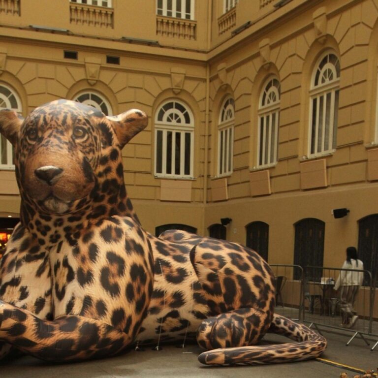 Exposição no CCBB BH: O Meme como Forma de Arte e Expressão Cultural