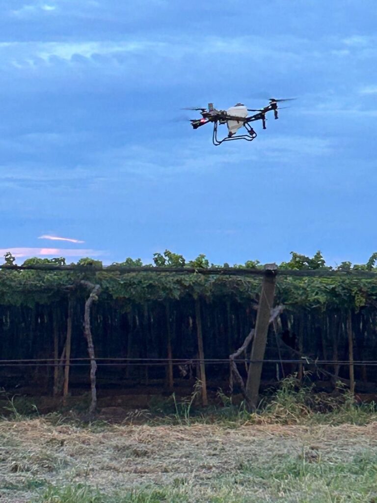Inovações Tecnológicas Prometem Economia de Água e Maior Produtividade na Fruticultura