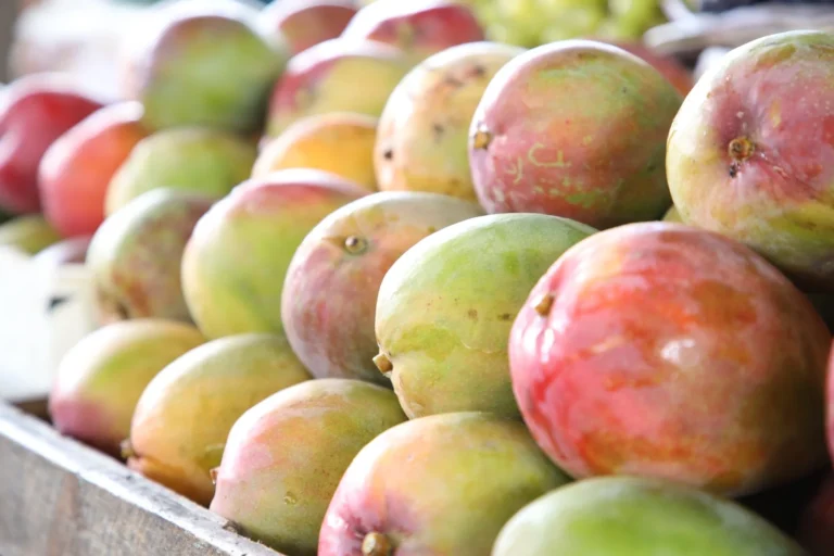 Pernambuco Destaca Fruticultura na Fruit Attraction 2026 em São Paulo