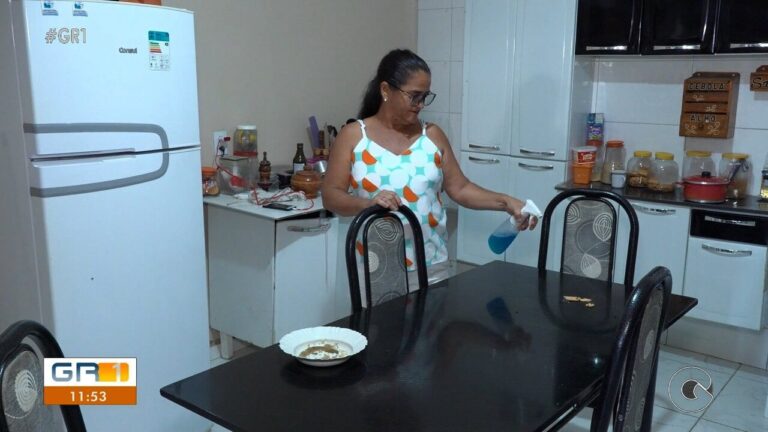 Virose da Mosca: Alertas sobre Infecções Gastrointestinais em Petrolina