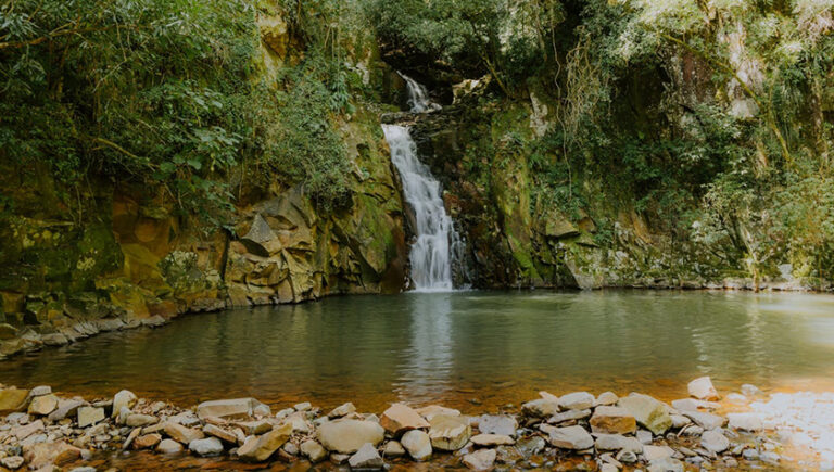 Caminhada Internacional na Natureza: Paraíso do Sul Investe no Turismo Rural
