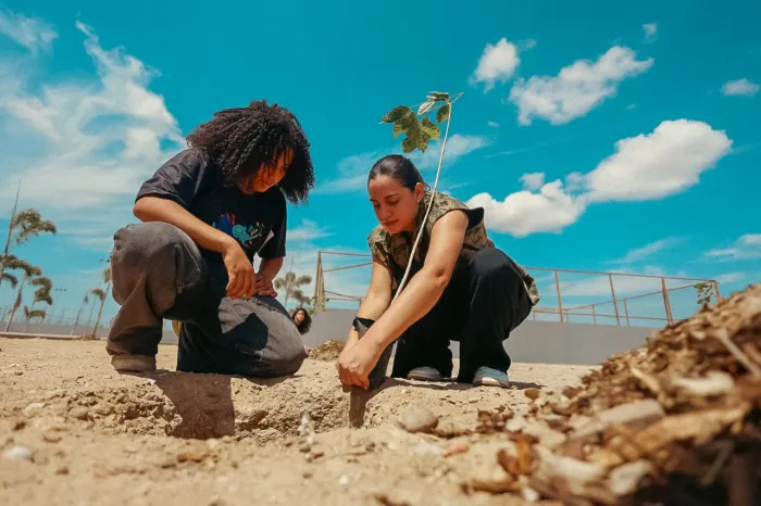 Petrolina Lança Plataforma Inovadora para Identificar Áreas Quentes da Cidade Petrolina Lança Plataforma Inovadora para Identificar Áreas Quentes da Cidade