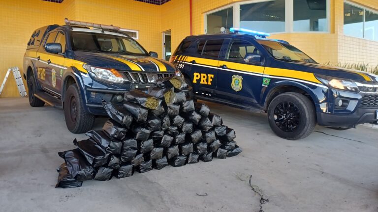 Polícia detém homens com 51 kg de 'supermaconha' na BR-428 em Petrolina