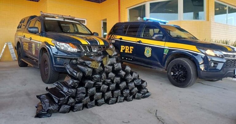 Polícia Rodoviária Federal apreende 51 kg de skunk em Pernambuco e prende dois homens
