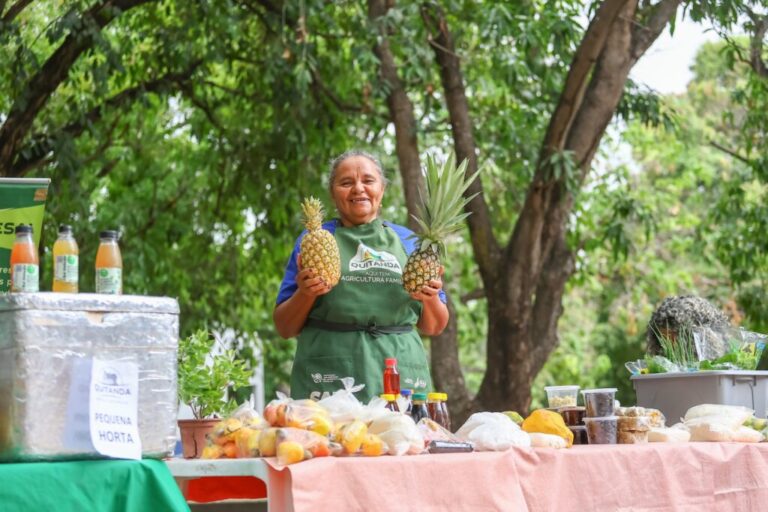 Quitanda da Agricultura Familiar Promove Cultura e Produção Local em Parnaíba