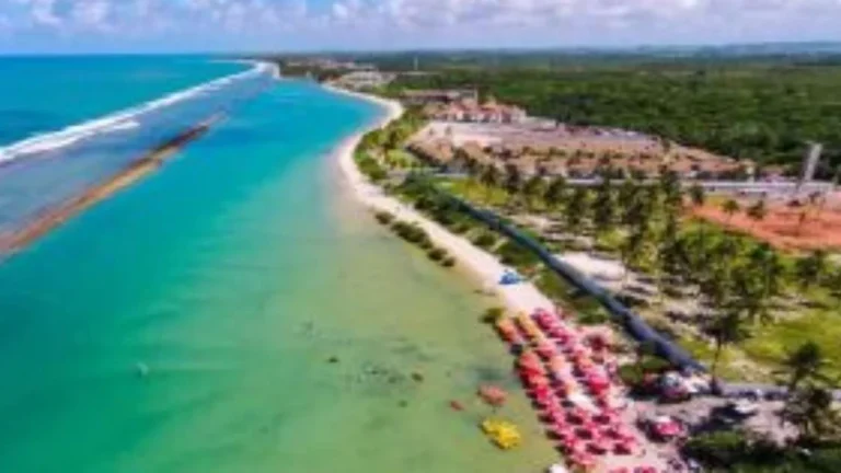Tamandaré em Pernambuco: 7 Motivos para Conhecer a Praia dos Carneiros e suas Piscinas Naturais Tamandaré em Pernambuco: 7 Motivos para Conhecer a Praia dos Carneiros e suas Piscinas Naturais