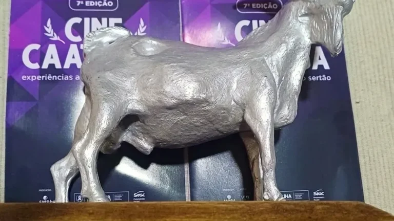 Animação de Quixadá é premiada no Festival Cine Caatinga em Petrolina Animação de Quixadá é premiada no Festival Cine Caatinga em Petrolina