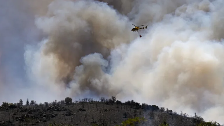 Incêndios e Calor Extremo Devastam Mais de 17 Mil Hectares de Florestas na Europa Incêndios e Calor Extremo Devastam Mais de 17 Mil Hectares de Florestas na Europa