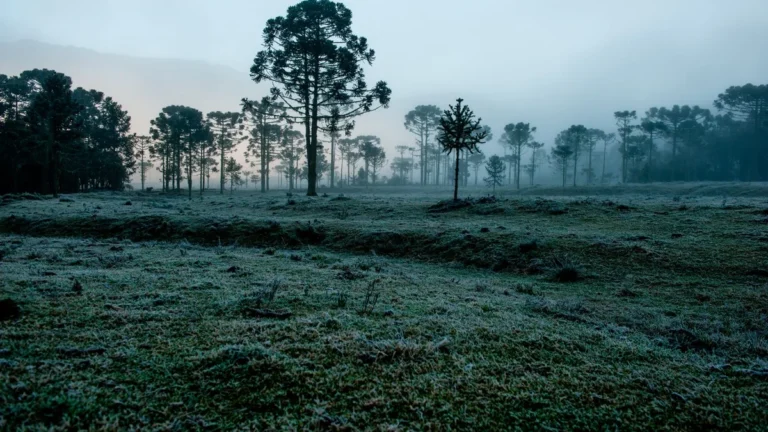 Clima no Brasil em julho 2026: frio intenso e chuvas acima da média em diferentes regiões Clima no Brasil em julho 2026: frio intenso e chuvas acima da média em diferentes regiões