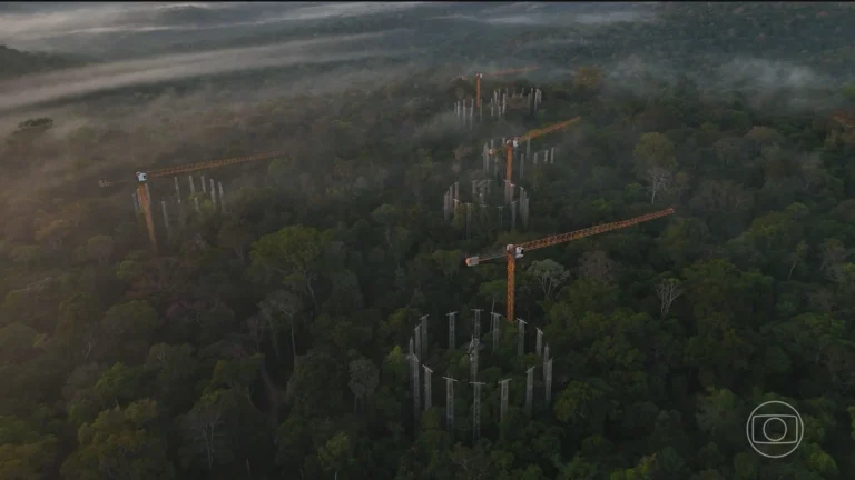 Como funciona a máquina na Amazônia que simula o clima do futuro Como funciona a máquina na Amazônia que simula o clima do futuro